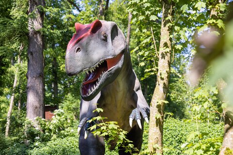 DINOLAND01_(c)_Dominik_Gruss