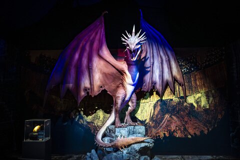 04_Pressefoto_HarryPotter_TheExhibition_Fotocredit_Imagine_Ungarischer_Hornschwanz